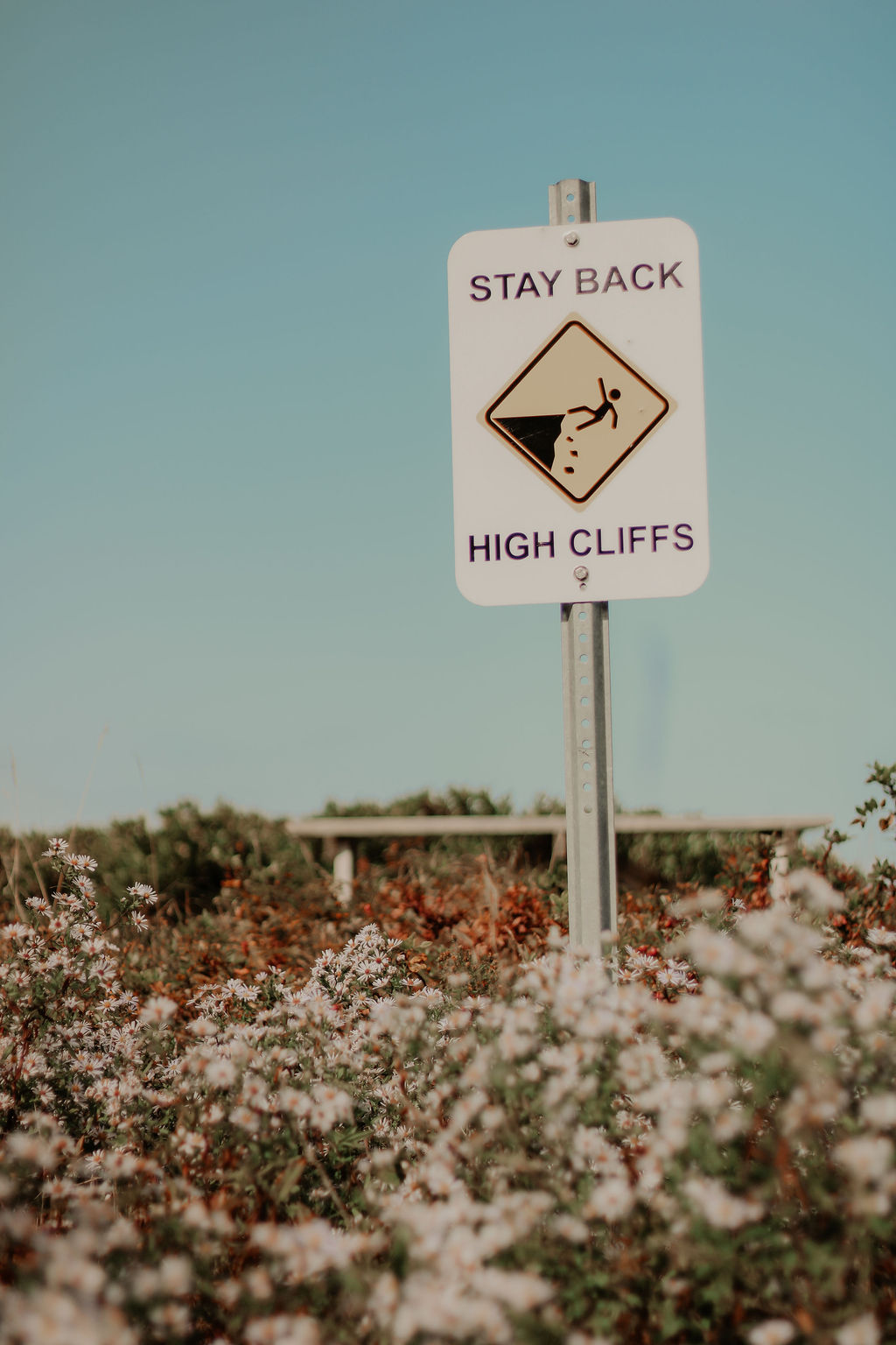 Nature trail sign among tall grass