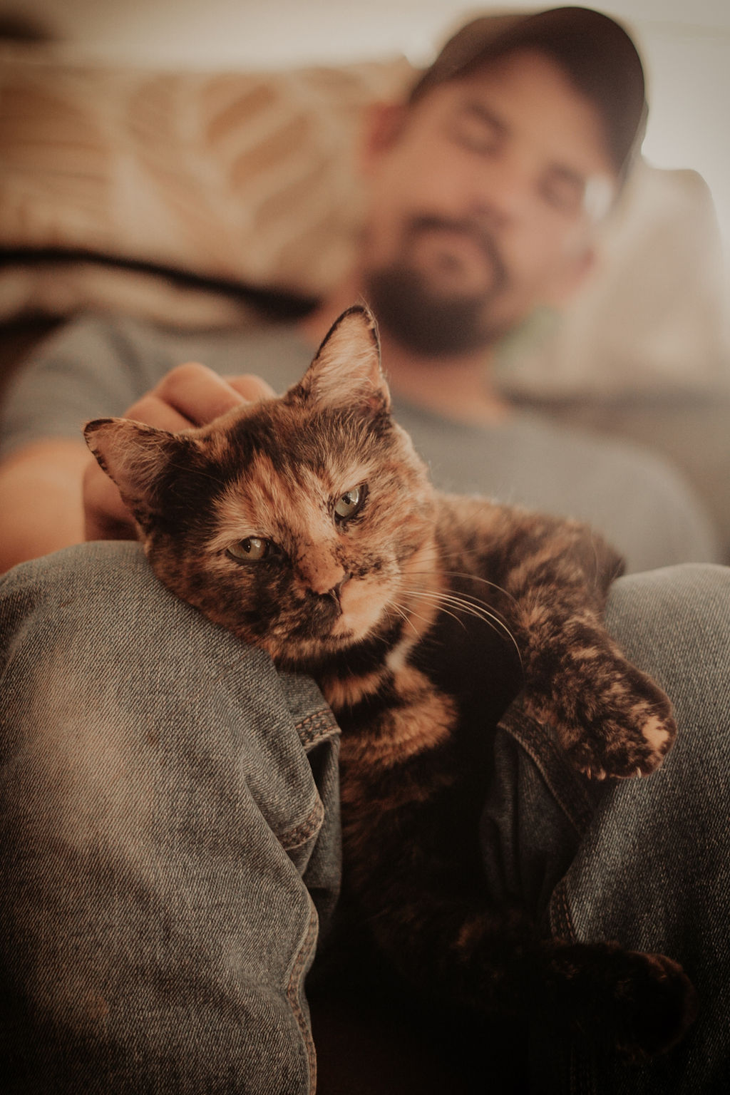 Man relaxing with his cat